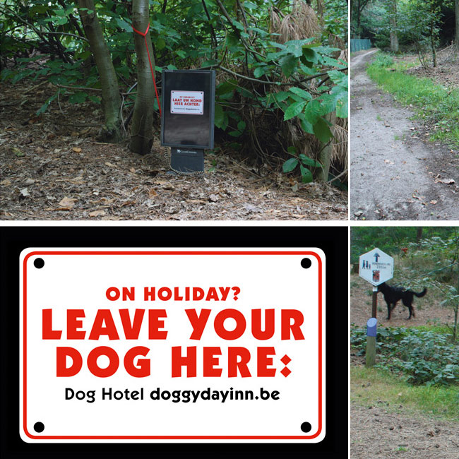Napušteni pseći bilbordi u šumi: gde reklamirati firmu Doggyday Inn i uslugu čuvanja pasa