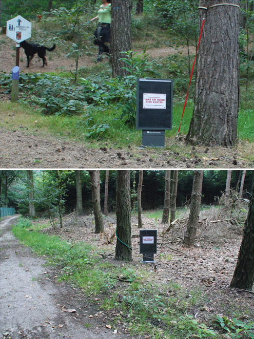 Parkić u šumi u okolini Lichtaart-a gde vlasnici šetaju svoje kuce - reklamiranje firme Doggyday Inn